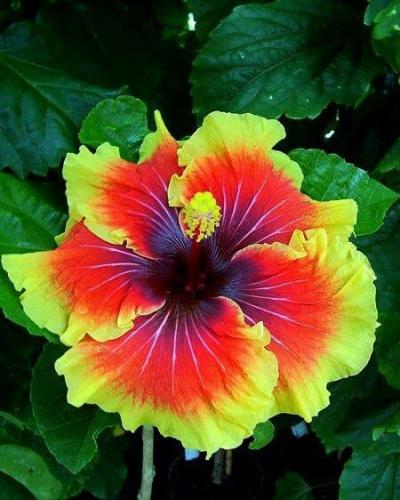 09:19:39 GMT-0500 (CDT)