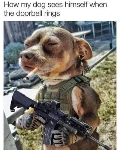 284787201_167087619061132_2821174441680347816_n