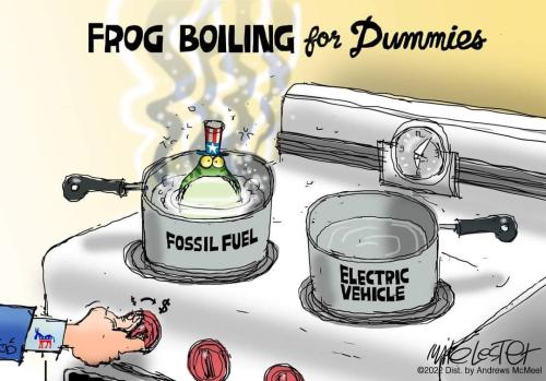 FB_IMG_1653428337849