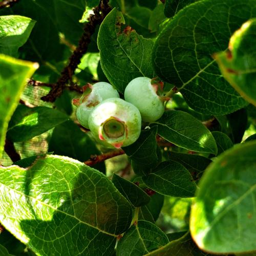 IMG_20220429_074830_834