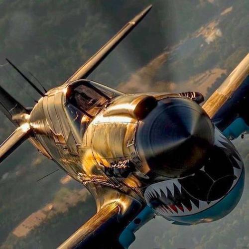 281161432_3205241216414882_4515723609534497643_n