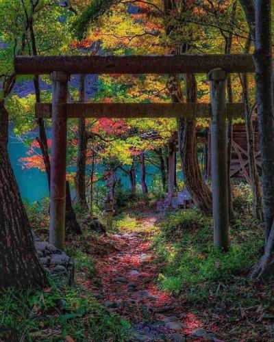 281940088_551115946384412_6517403638607885904_n