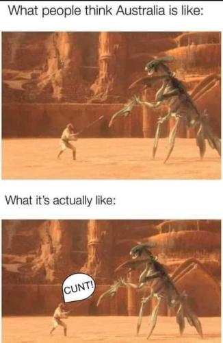 IMG-7f25c412a76a38fc57b305006118b3a0-V