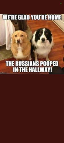 da4b0f21-9162-4e58-af61-533632121ac5