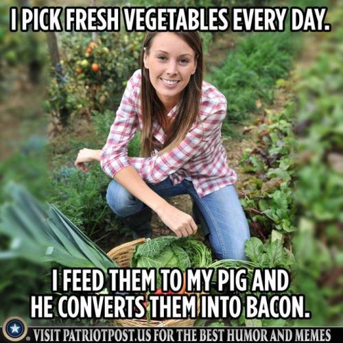 21b4815c-c58d-40b1-aa16-d2e2dc101088