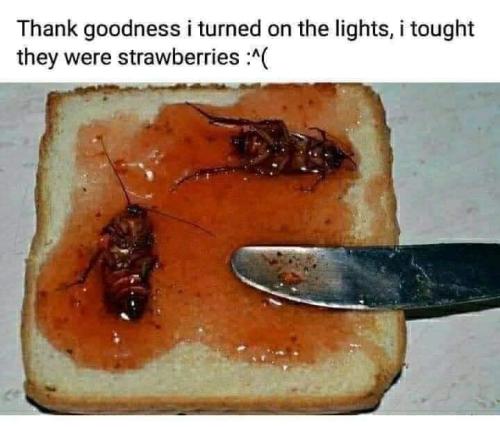 FB_IMG_1654001749320