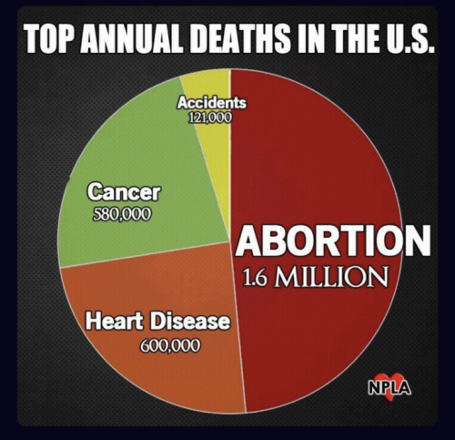 849a0a9fb013662a5d7e0af050b18d5a_500x0