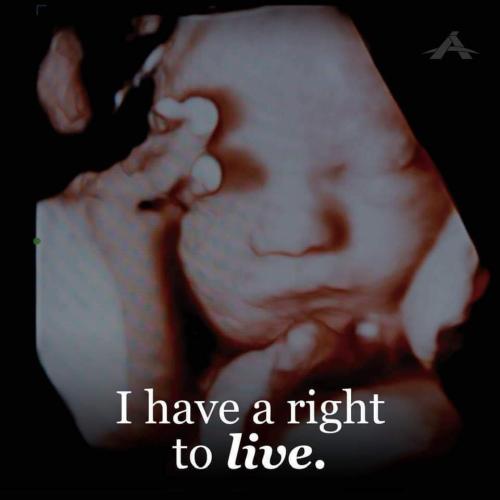 5e4e17fc-c018-4f59-b206-0c60c11c4193