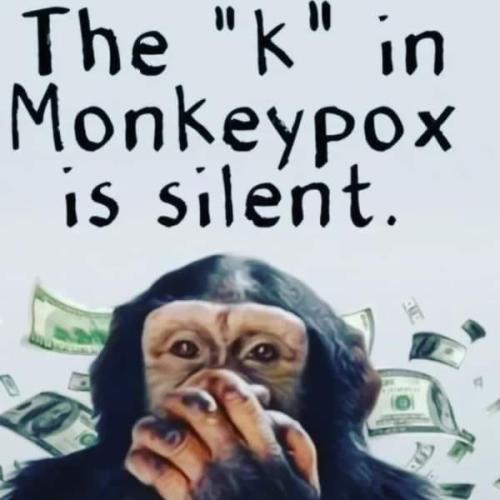 monkey k