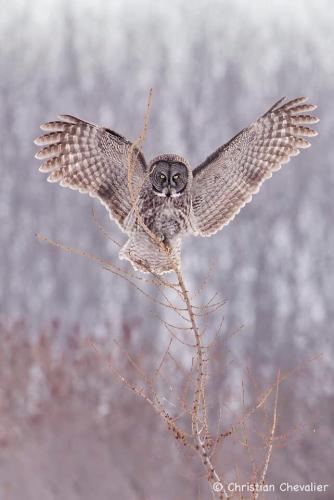 284589220_2325245344282026_1609657145638335832_n