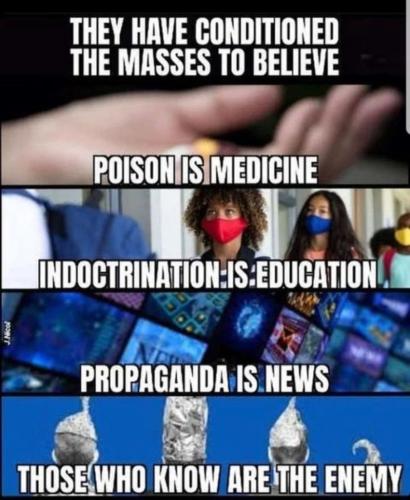 Willful Blindness 10