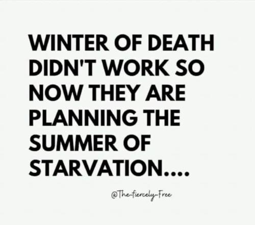 IMG_20220530_172304_553