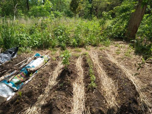 eb8a7641-94ce-4790-9f0a-4b3b96c039f8