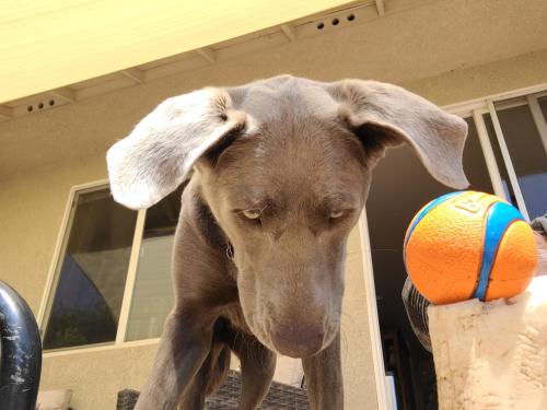 802f3f4d-a6fa-4c92-a9cc-2ae1dc6d4669