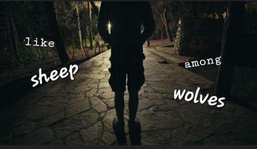 6414bc9e-5129-4456-83f9-21dd9163d718