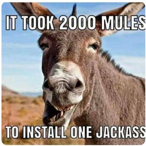 Screenshot_20220517-235032