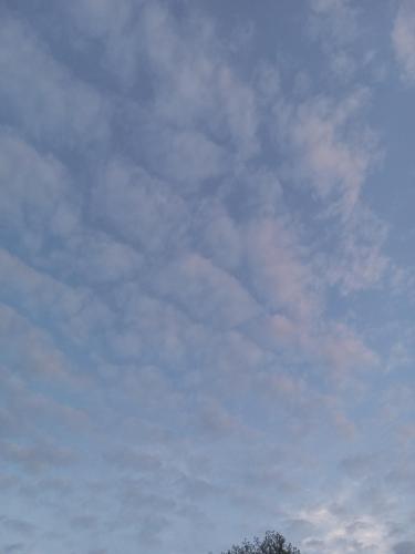 8a45163c-e5a3-4811-8d58-cded41e22805