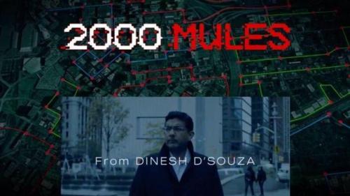 2000mules