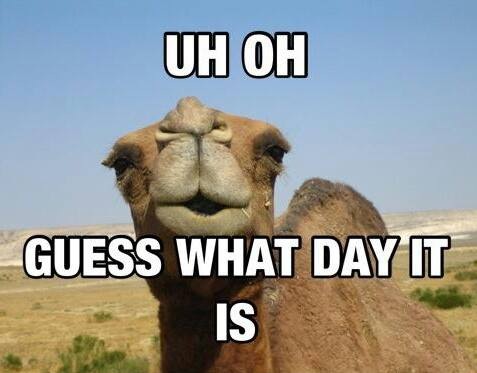 1-Hump Day