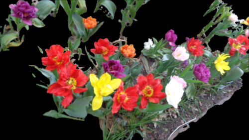 Snapshot 13 (4-23-2022 8-01 AM)