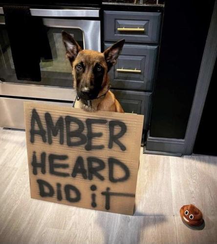 64d409ef-e597-4946-93e2-baeb9b7c5832