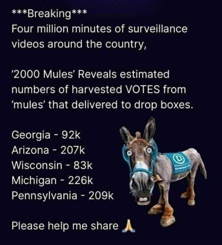 25067578-d836-4cd3-8245-51f87f847424