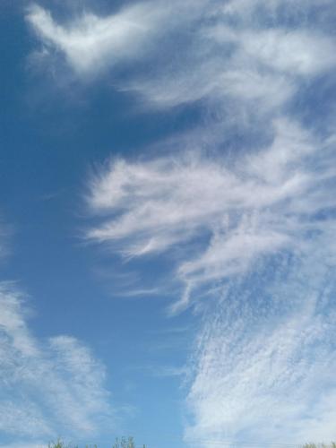 3baca259-5a78-42f2-b237-ab5faa506390