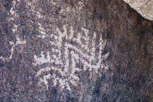 20200520235434_IMG_1449~2