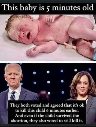 787f2b0d-49bb-4dcf-88cc-4c9f3d72c56a