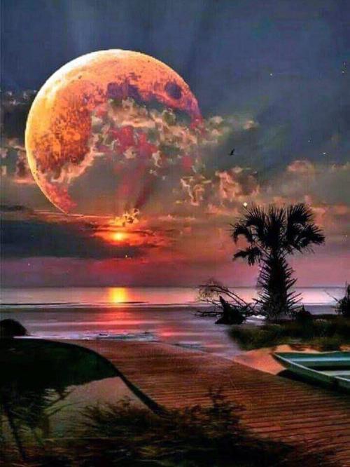 DB7E6F64-7013-4338-B6AA-05C2CEC0B1D7