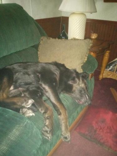 f10029db-2350-47a6-8f8d-45b9efb52fdc