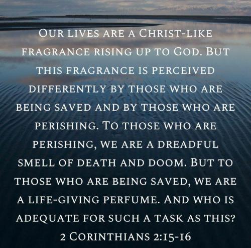 41c61d49-c55c-4a72-bf3d-acdc2427a305