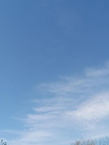 6d9c7955-d74a-434a-a7c9-ddf9a118bb9e