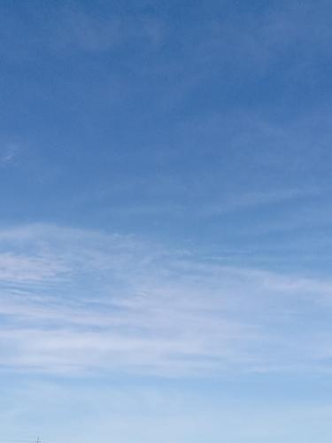 9168a406-0830-42f5-b36e-cfcfc6cade01