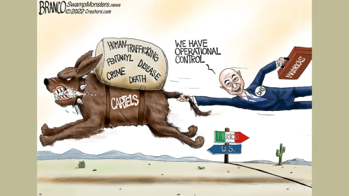 cartels_border_biden_assholes