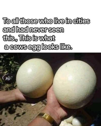 8f12b1c7-df70-4e52-a9c3-0d90f06bc1bd