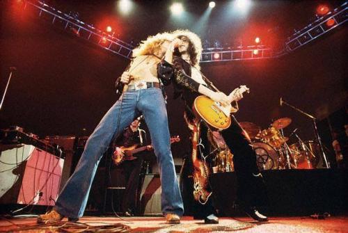 15698305_10206009676241155_4642266016751196180_n