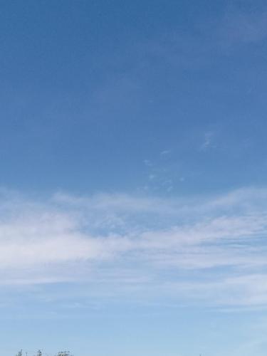 ee3082bb-19be-406d-8b9e-bb327ed39ee7