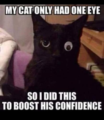 FB_IMG_1653400360522