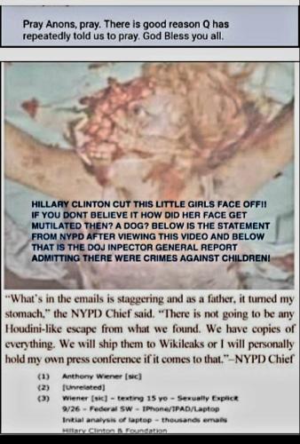 bfbc1e4d-5ee8-44e2-961d-d3a9a2bb0880