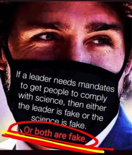 a4ad06d6-1247-4c6e-a696-29fd570cb5c0