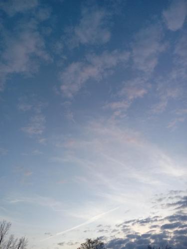 980a7a6c-b977-4ea5-9856-76fd3f08d568