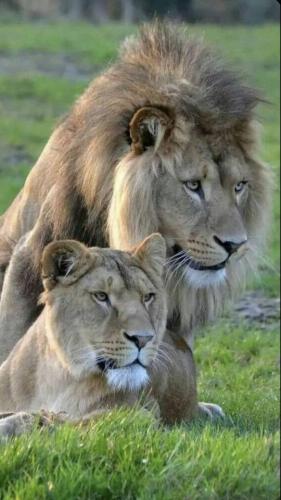 tumblr_d6f740aa8d751b6a6b84cb51eb1d1d63_bf5e4e3a_640