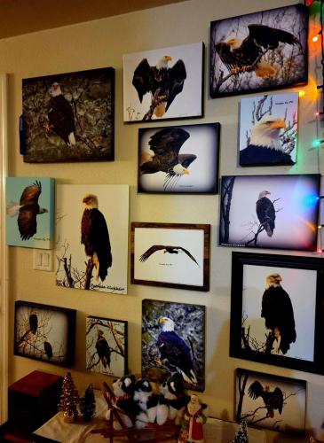 c63a198e-2417-4c10-b743-6a6c7c361192