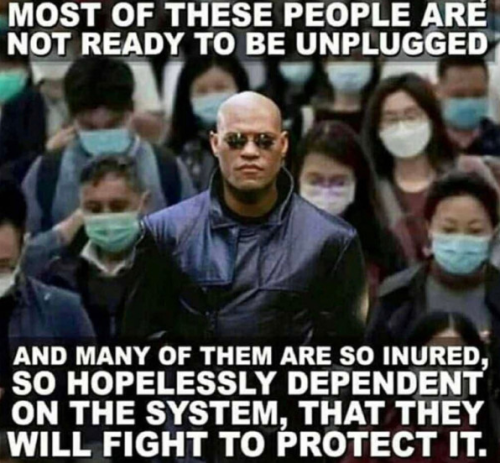 image_2022-05-14_234638309