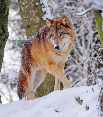 tumblr_121e755168a08cb169a0fae60669c17e_774f2a6d_1280