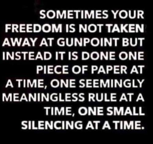 280203093_1703690486641606_5242094065681087074_n