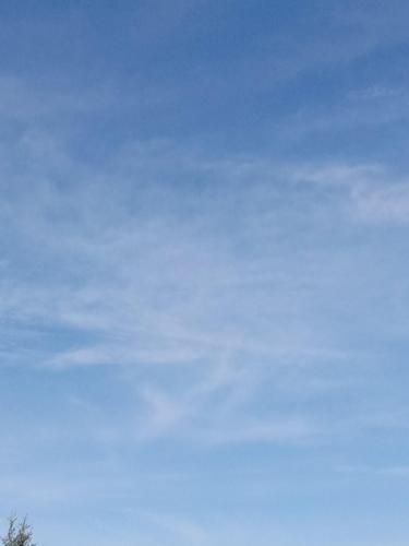 79ed0d9c-7389-4102-8f55-2b2d3a77ade4