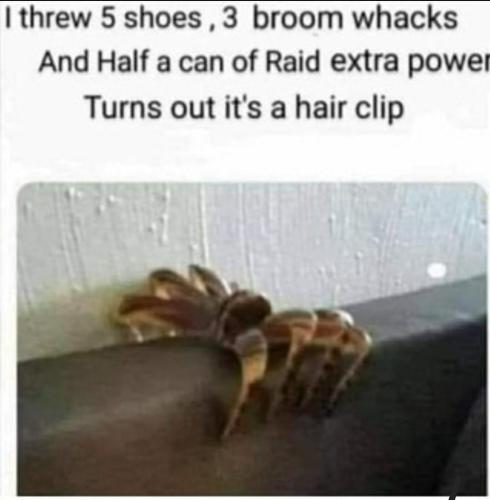 602e0e1c-46a8-401c-8b6b-534fcad2e766