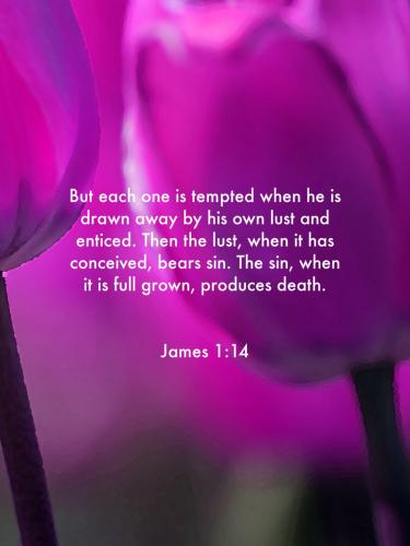 08:52:11 GMT-0400 (EDT)